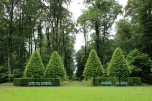 Tala y poda de árboles en altura, Murciaprovincia Tala y poda de árboles en altura, Murciay provincia